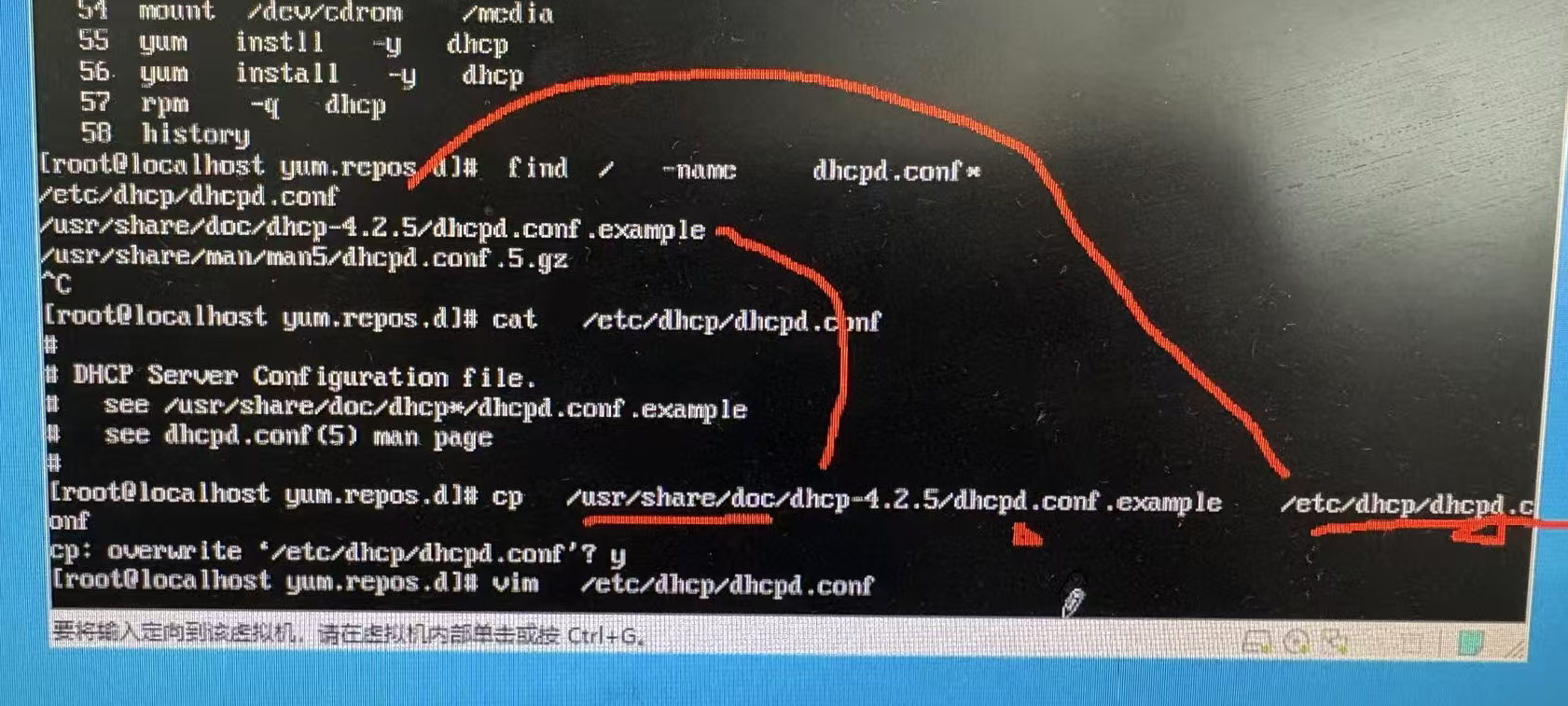 dhcp