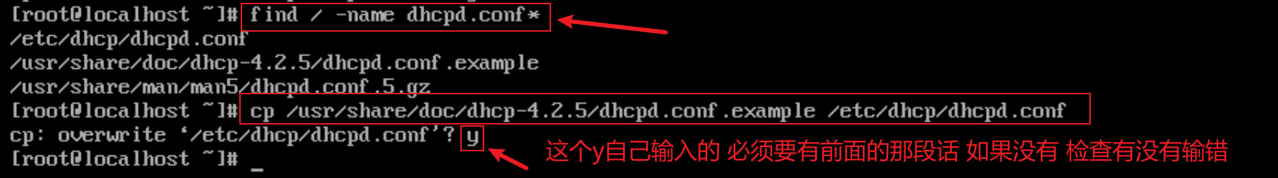 image-20260610124921072